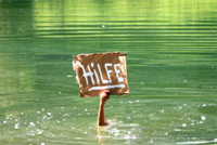 Hand hält Schild aus dem Wasser. Aufschrift: "Hilfe"